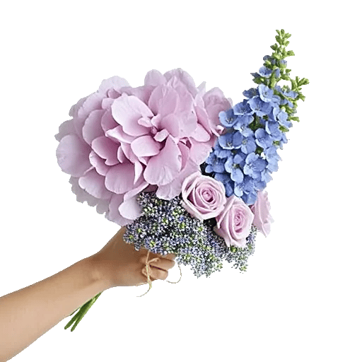 Serene Petal Harmony