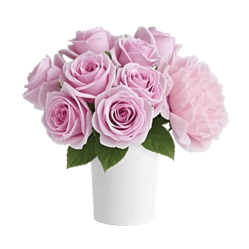 Ivory Blossom Radiance