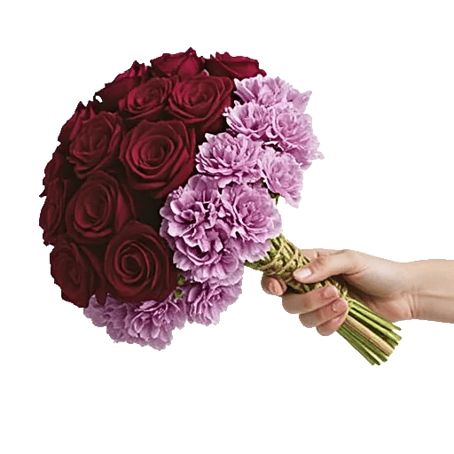 Blushing Rose Symphony