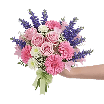 Pastel Pink Roses