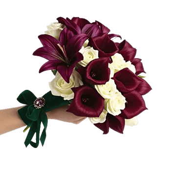 Elegant Calla Lilies