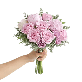 Pastel Pink Roses