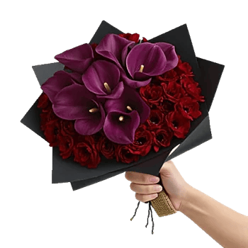 Elegant Calla Lilies