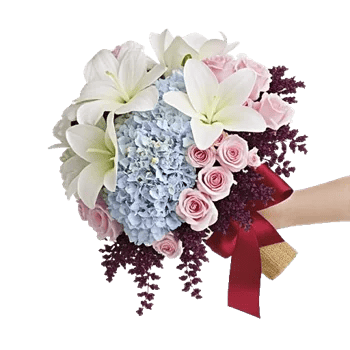 Blushing Rose Symphony