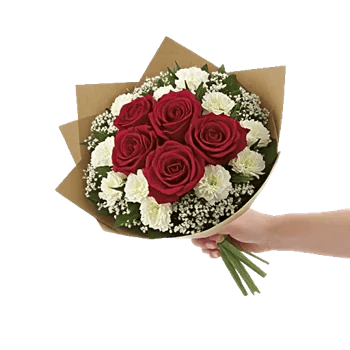 Crimson Rose Elegance