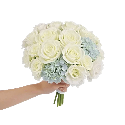 Serene Petal Harmony