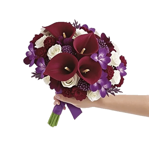 Elegant Calla Lilies