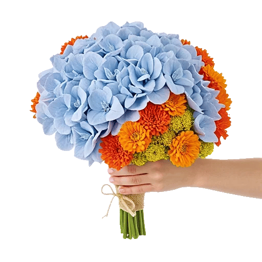 Sapphire Bloom Whisper