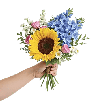 Twinkling Sunflower Dance