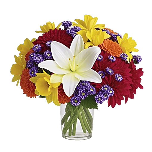 Graceful Lily Display