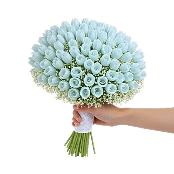 Pastel Blossom Grace