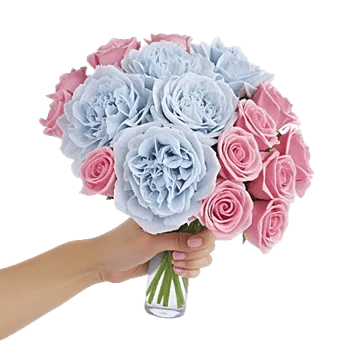 Serene Petal Harmony