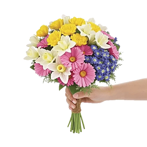 Petal Harmony Bliss