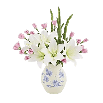 Ivory Blossom Radiance