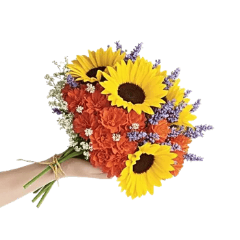 Twinkling Sunflower Dance