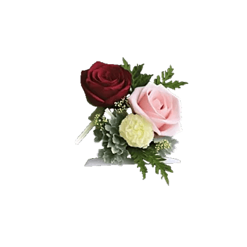 Delicate Petal Cascade