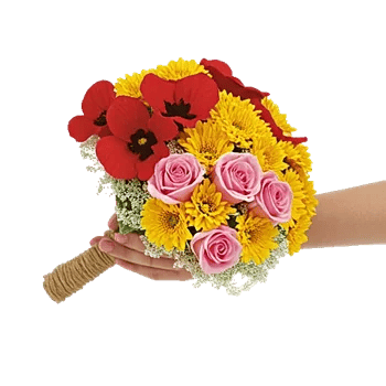 Blossom Harmony Display