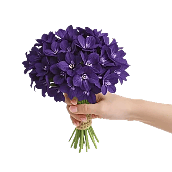 Velvet Tulip Display