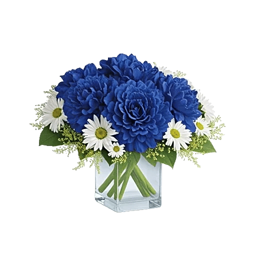Elegant Blue Roses