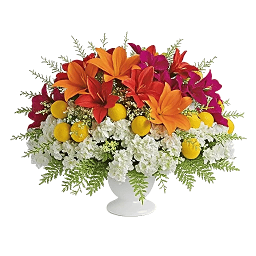 Modern White Orchids