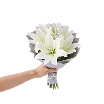 Minimalist White Orchids