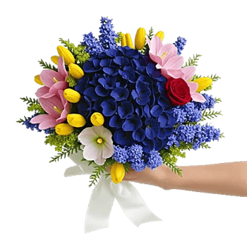 Sapphire Bloom Whisper