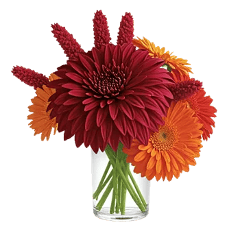 Crimson Blossom Harmony