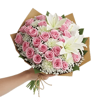 Blushing Rose Symphony