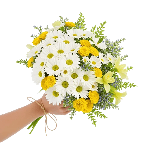 Petal Harmony Bliss