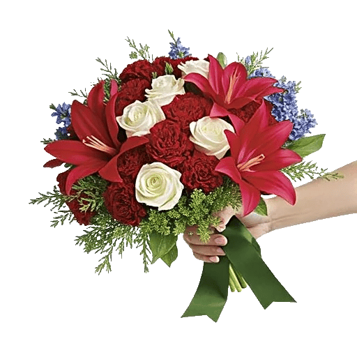 Blushing Rose Symphony