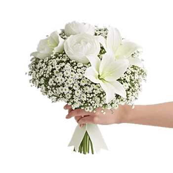 Ivory Blossom Radiance