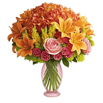 Petal Radiance Bliss