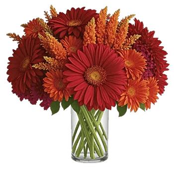 Crimson Blossom Harmony