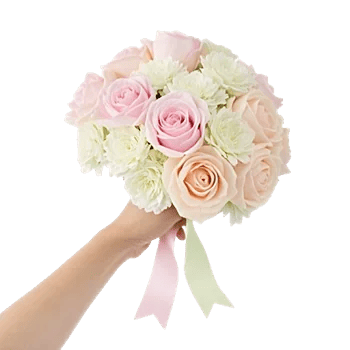 Pastel Pink Roses