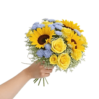 Twinkling Sunflower Dance