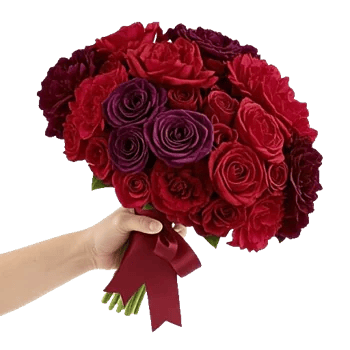 Delicate Petal Cascade