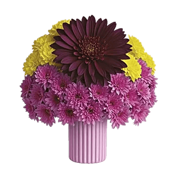 Radiant Bloom Cascade