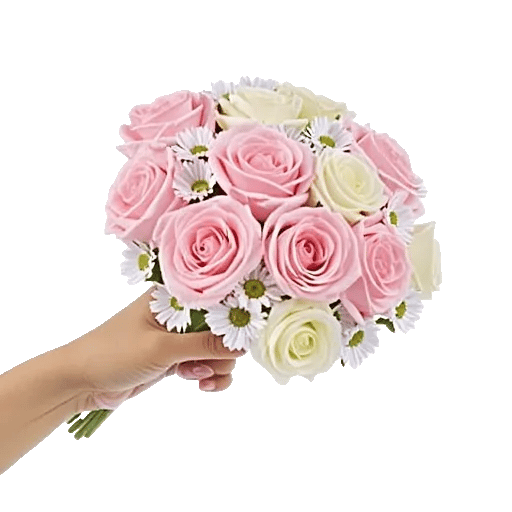 Pink Pastel Roses