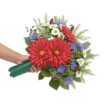 Coral Blossom Harmony