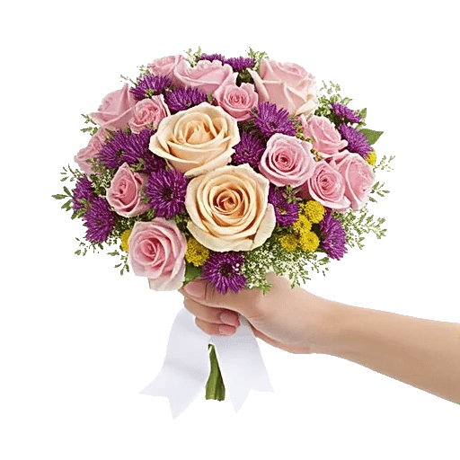 Blushing Rose Symphony