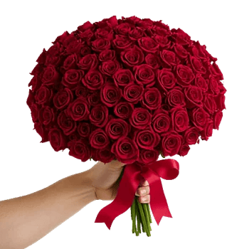 Crimson Rose Elegance