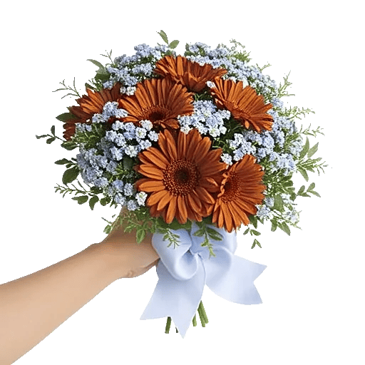 Serene Petal Harmony