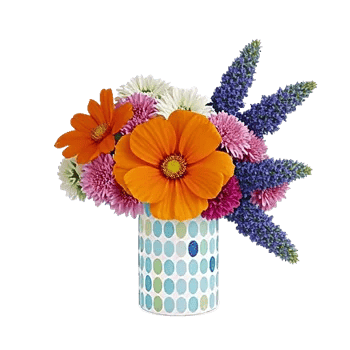 Petal Radiance Bliss