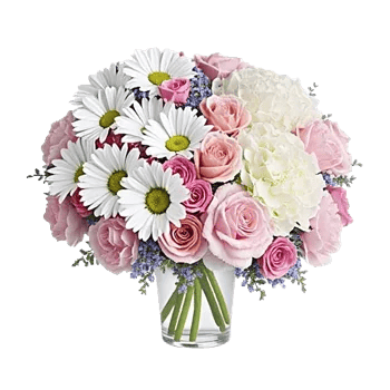 Petal Radiance Bliss