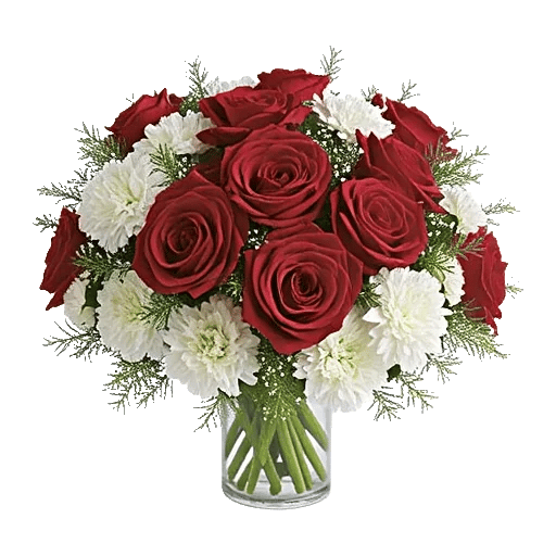 Crimson Rose Elegance