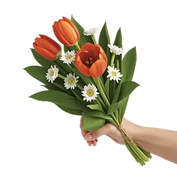 Blossom Glow Symphony