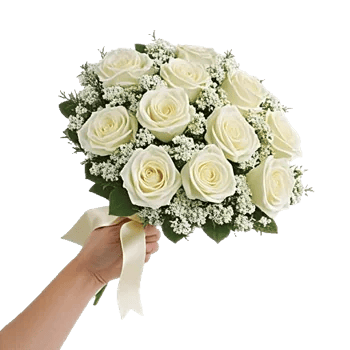 Ivory Garden Grace
