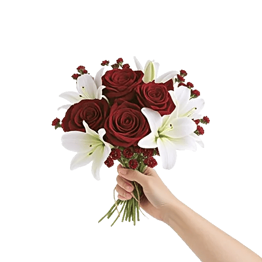Crimson Rose Elegance