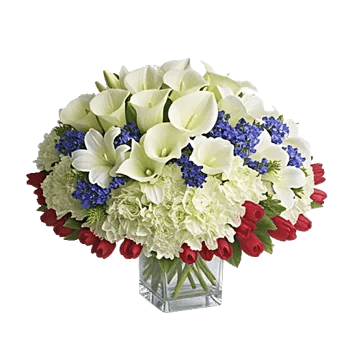 Elegant Calla Lilies