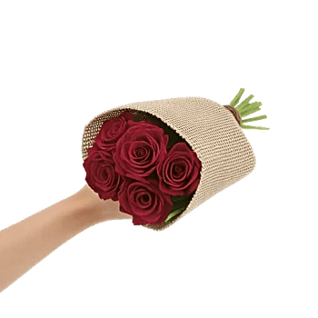 Crimson Rose Elegance
